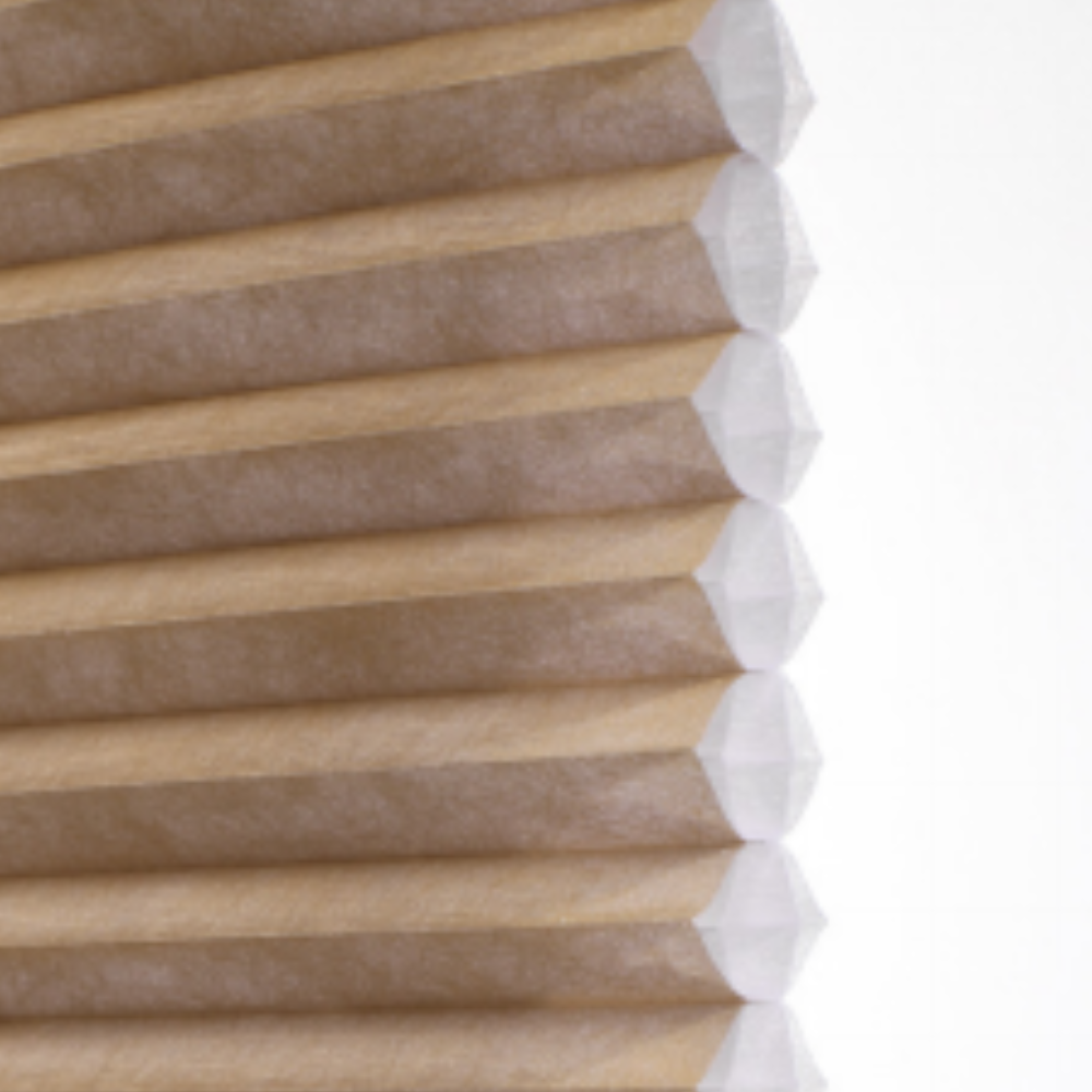 Sena Motorized Light Filtering Cellular Shades Cell with Cell