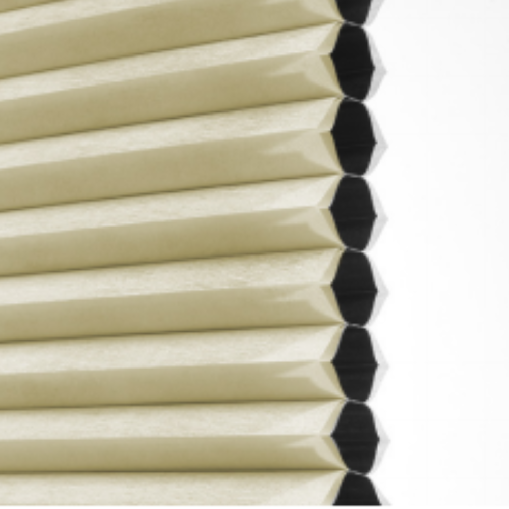 Sena Motorized Blackout Cellular Shades Cell With Cell